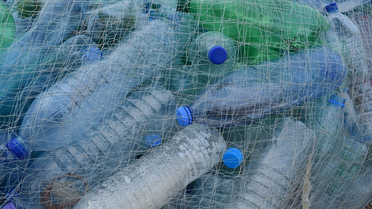 plastica-pesca-1