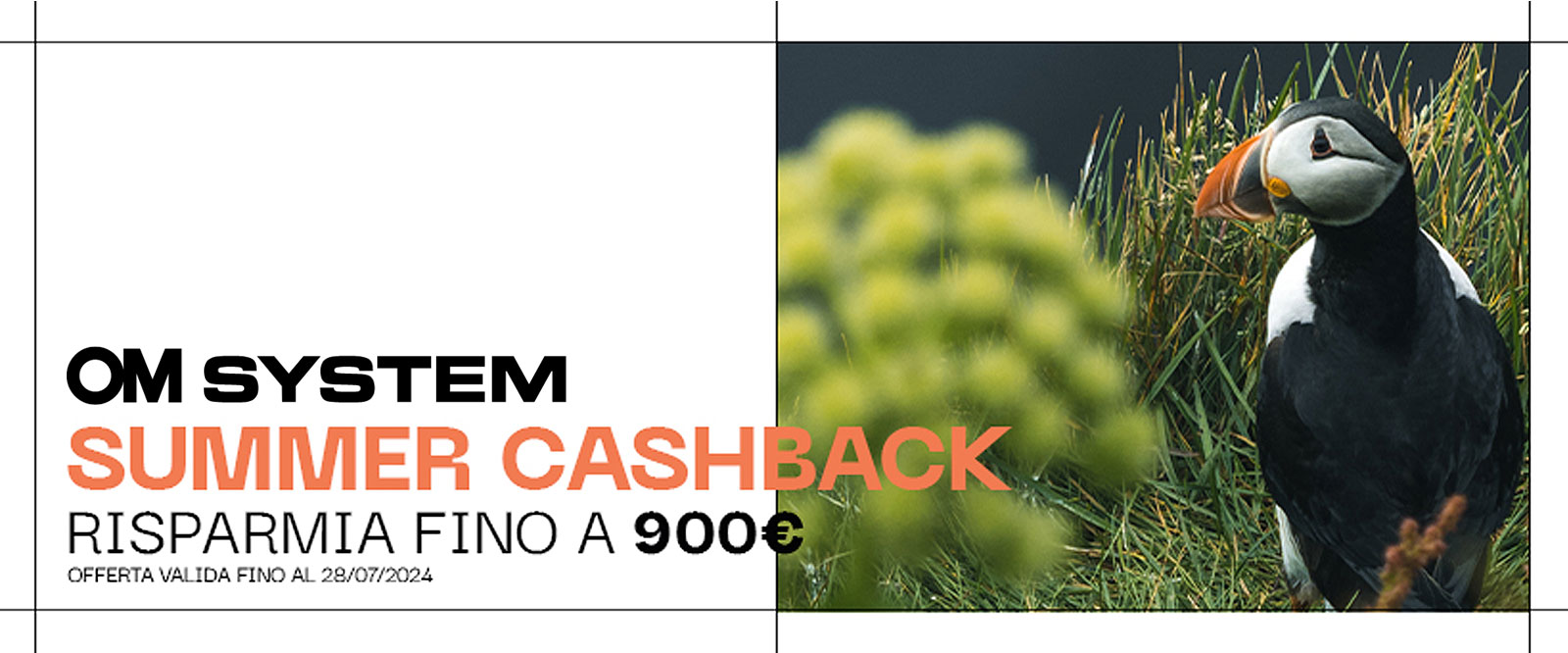 summer-cashback-hero