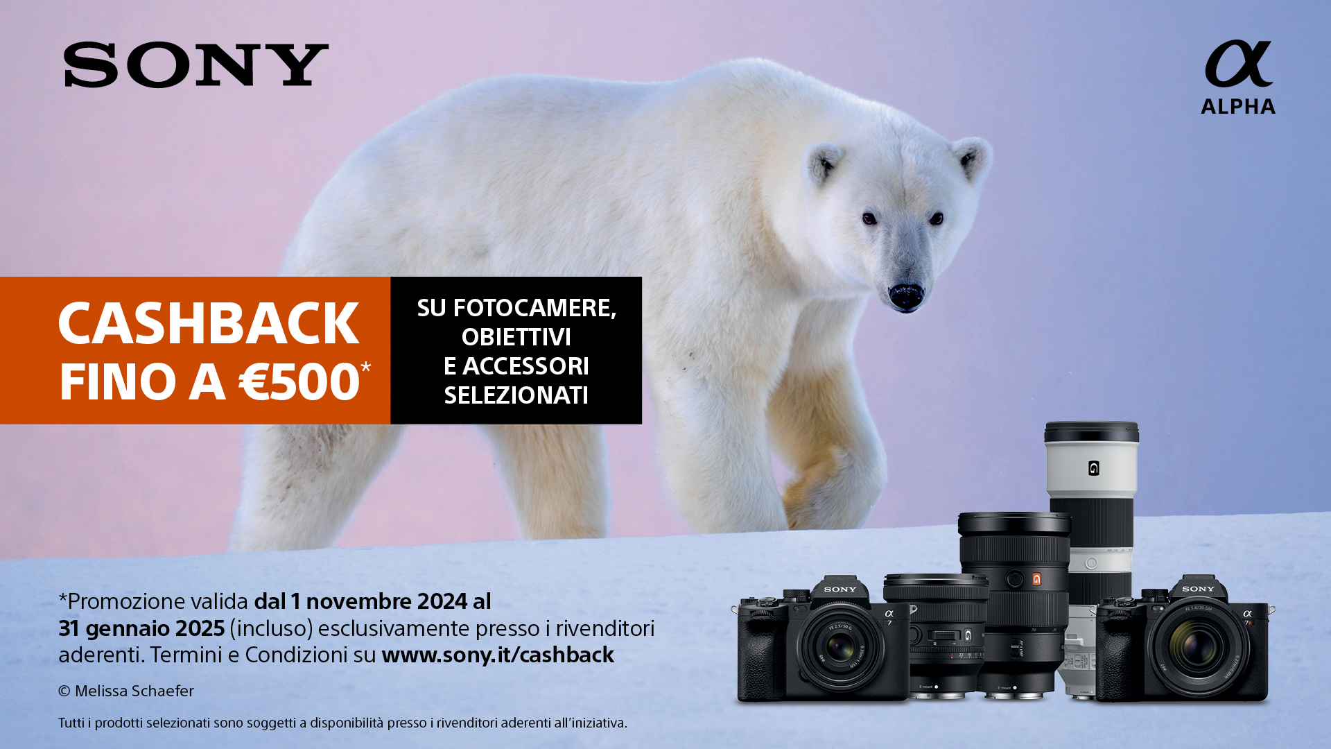 Winter_Cashback_2024_1920x1080
